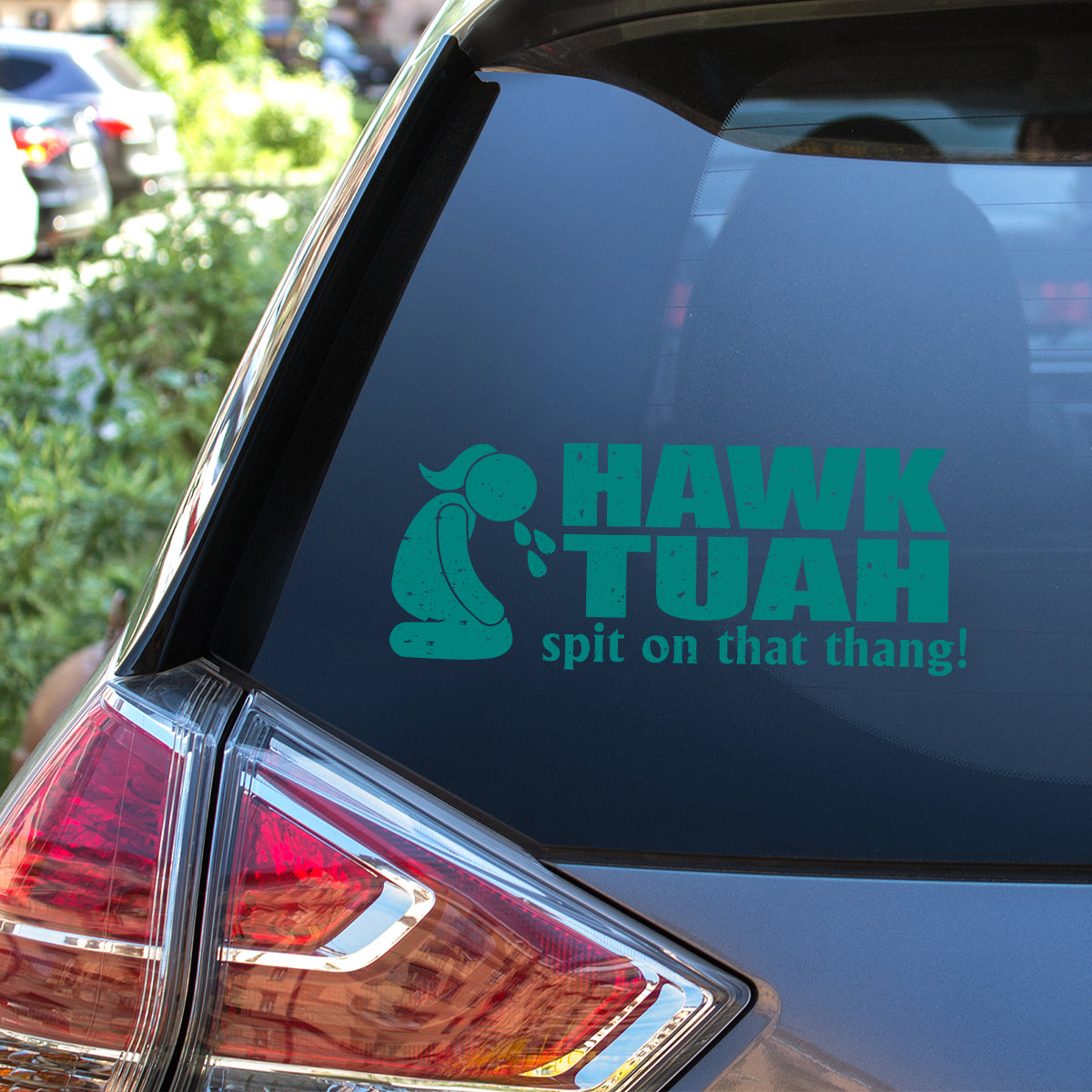 Petthouse | Hawk Tuah Spit On That Thang Decal, Hawk Tuah Decal Sticker, For Cars, Trucks, Laptops