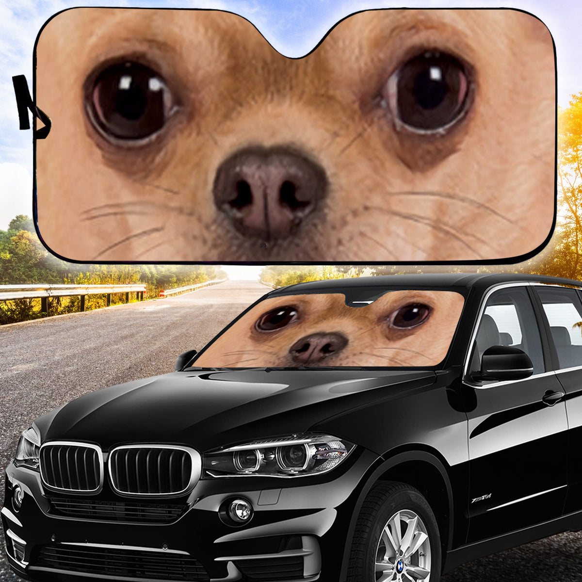 Petthouse | Fawn Chihuahua Eyes Printed Sunshade Chihuahua Windshield Sun Shade Puppies Dog Car Decoration