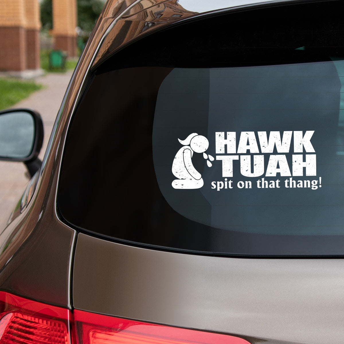 Petthouse | Hawk Tuah Spit On That Thang Decal, Hawk Tuah Decal Sticker, For Cars, Trucks, Laptops