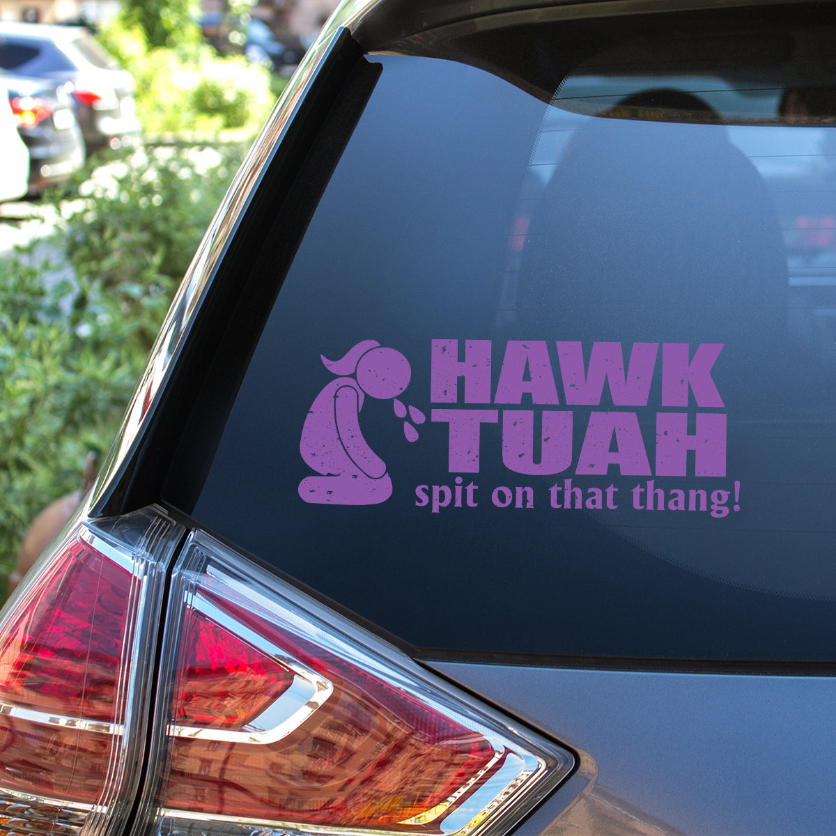 Petthouse | Hawk Tuah Spit On That Thang Decal, Hawk Tuah Decal Sticker, For Cars, Trucks, Laptops
