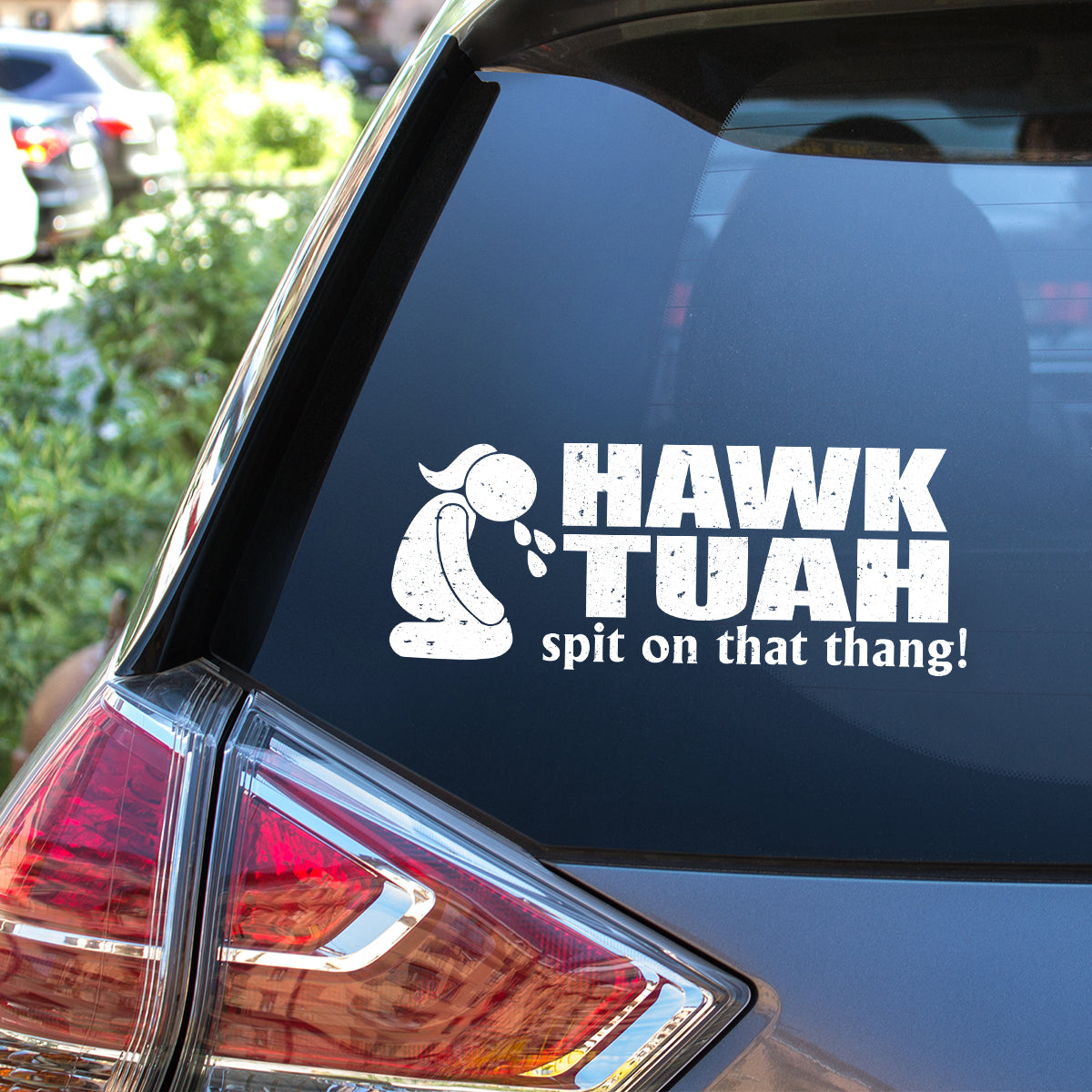Petthouse | Hawk Tuah Spit On That Thang Decal, Hawk Tuah Decal Sticker, For Cars, Trucks, Laptops