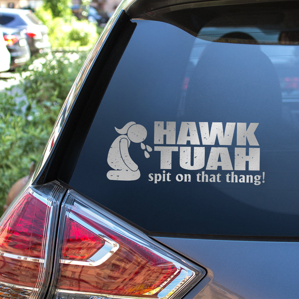 Petthouse | Hawk Tuah Spit On That Thang Decal, Hawk Tuah Decal Sticker, For Cars, Trucks, Laptops