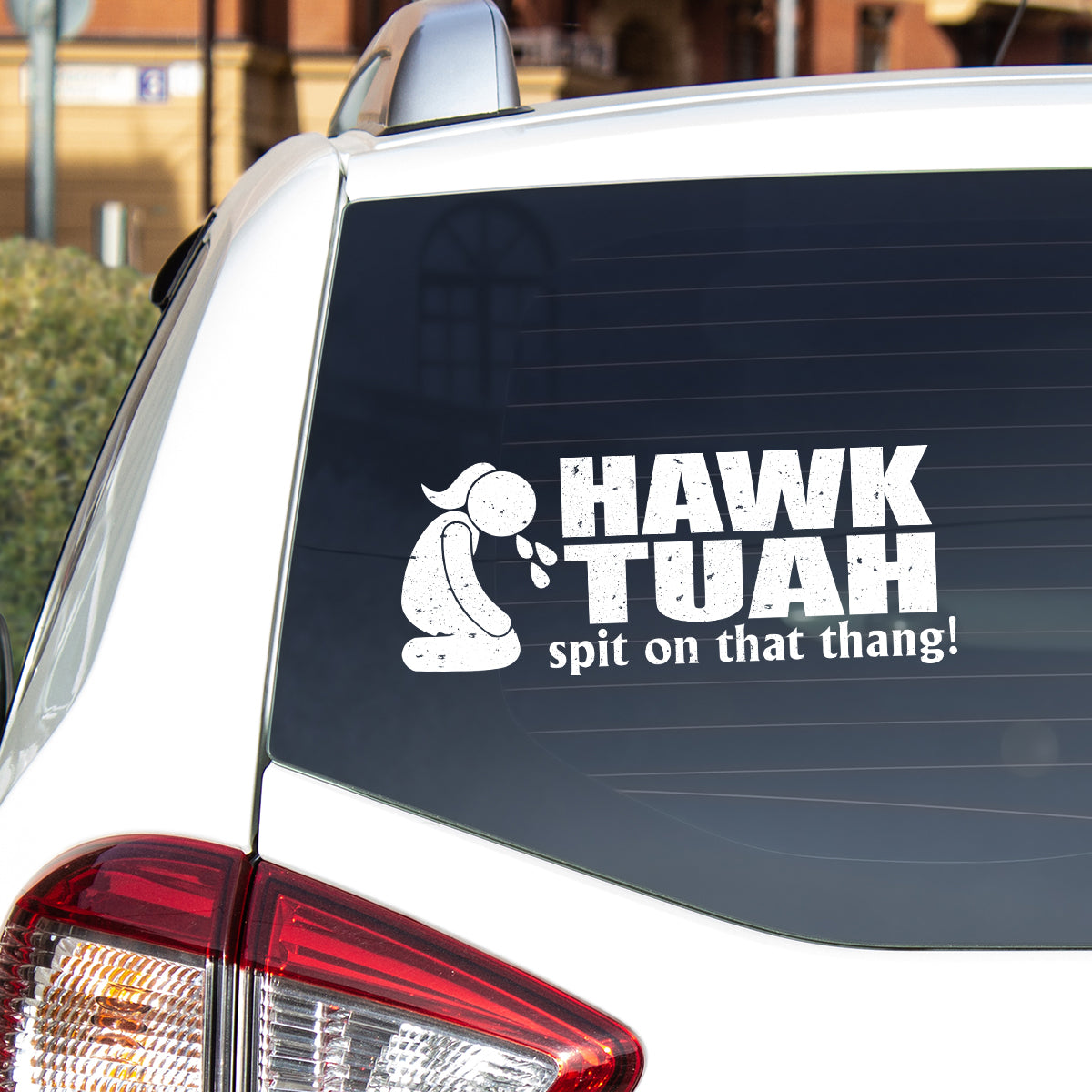 Petthouse | Hawk Tuah Spit On That Thang Decal, Hawk Tuah Decal Sticker, For Cars, Trucks, Laptops