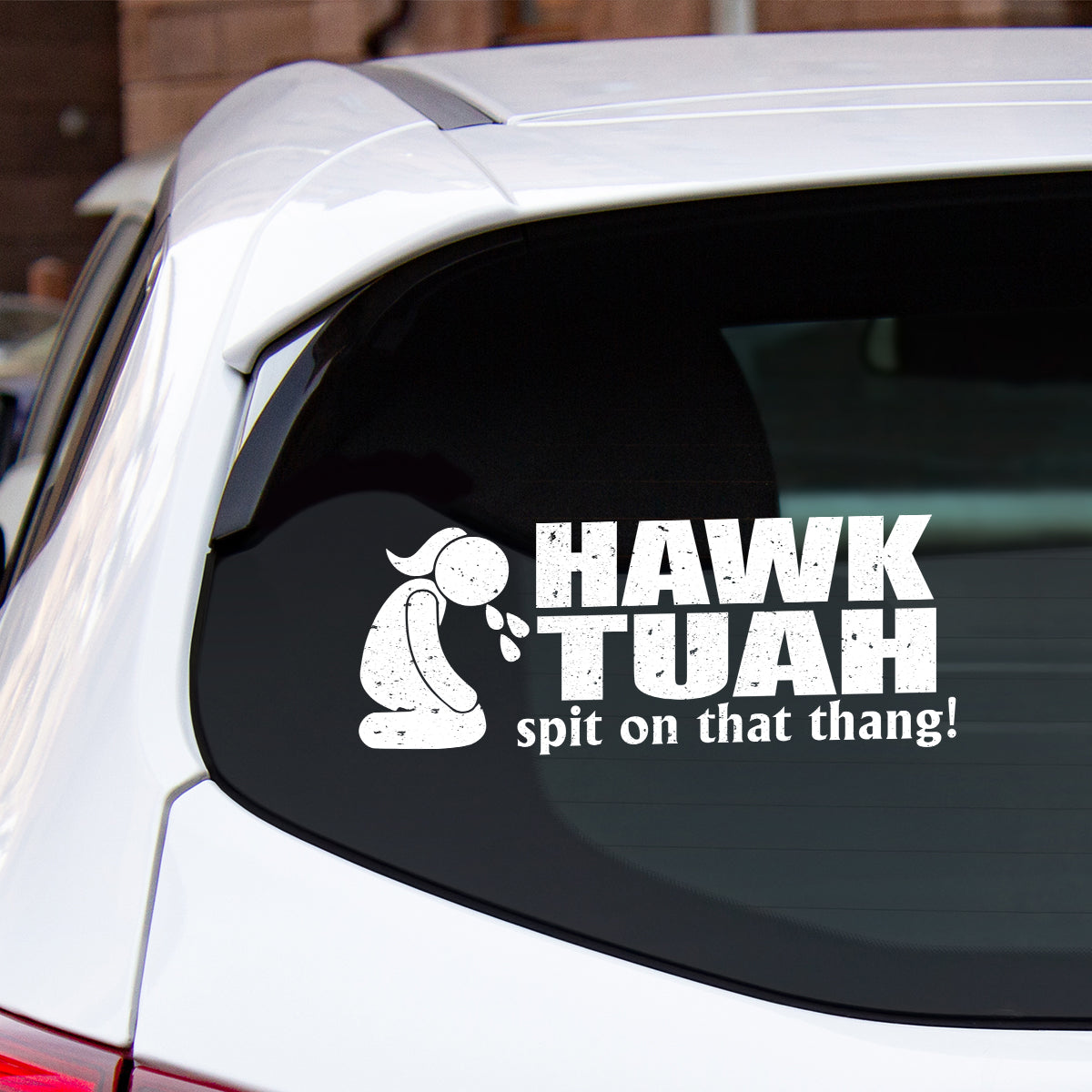 Petthouse | Hawk Tuah Spit On That Thang Decal, Hawk Tuah Decal Sticker, For Cars, Trucks, Laptops