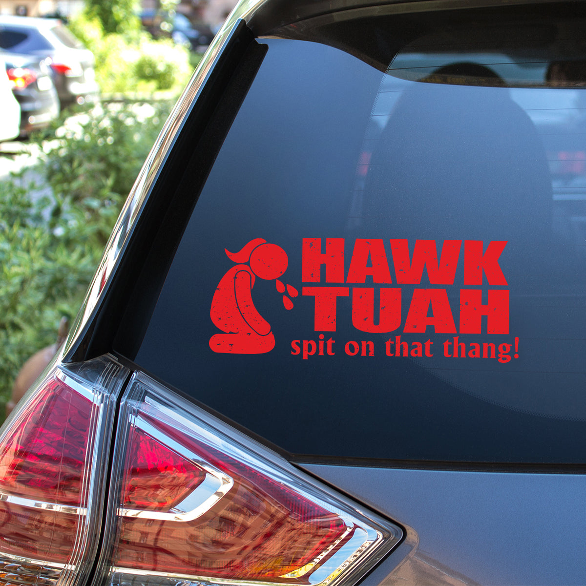 Petthouse | Hawk Tuah Spit On That Thang Decal, Hawk Tuah Decal Sticker, For Cars, Trucks, Laptops