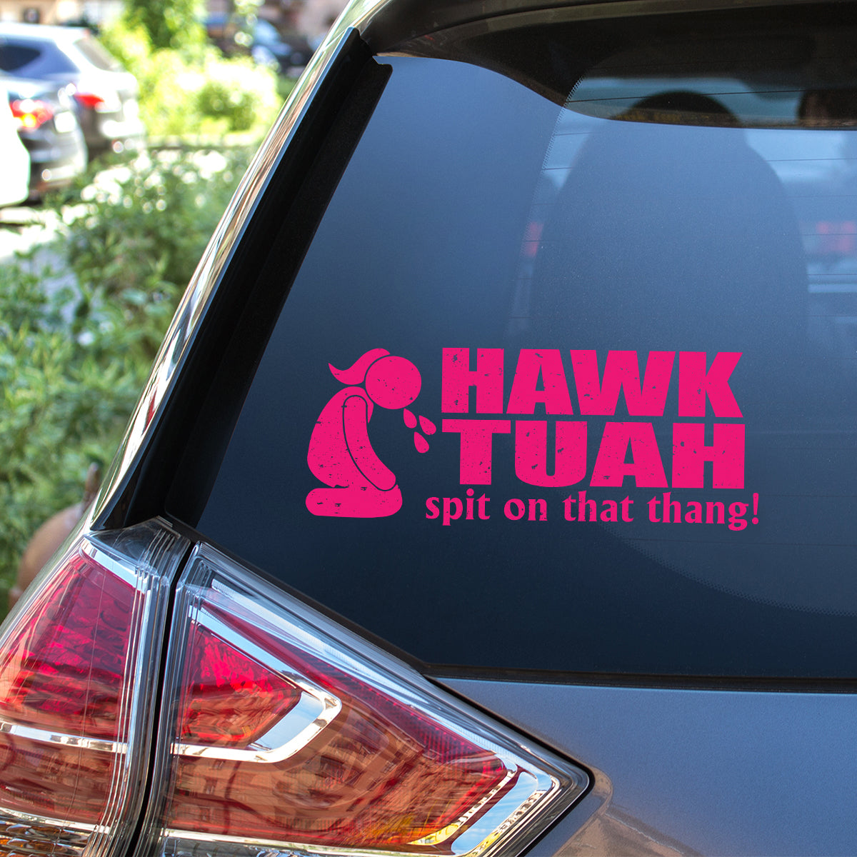 Petthouse | Hawk Tuah Spit On That Thang Decal, Hawk Tuah Decal Sticker, For Cars, Trucks, Laptops