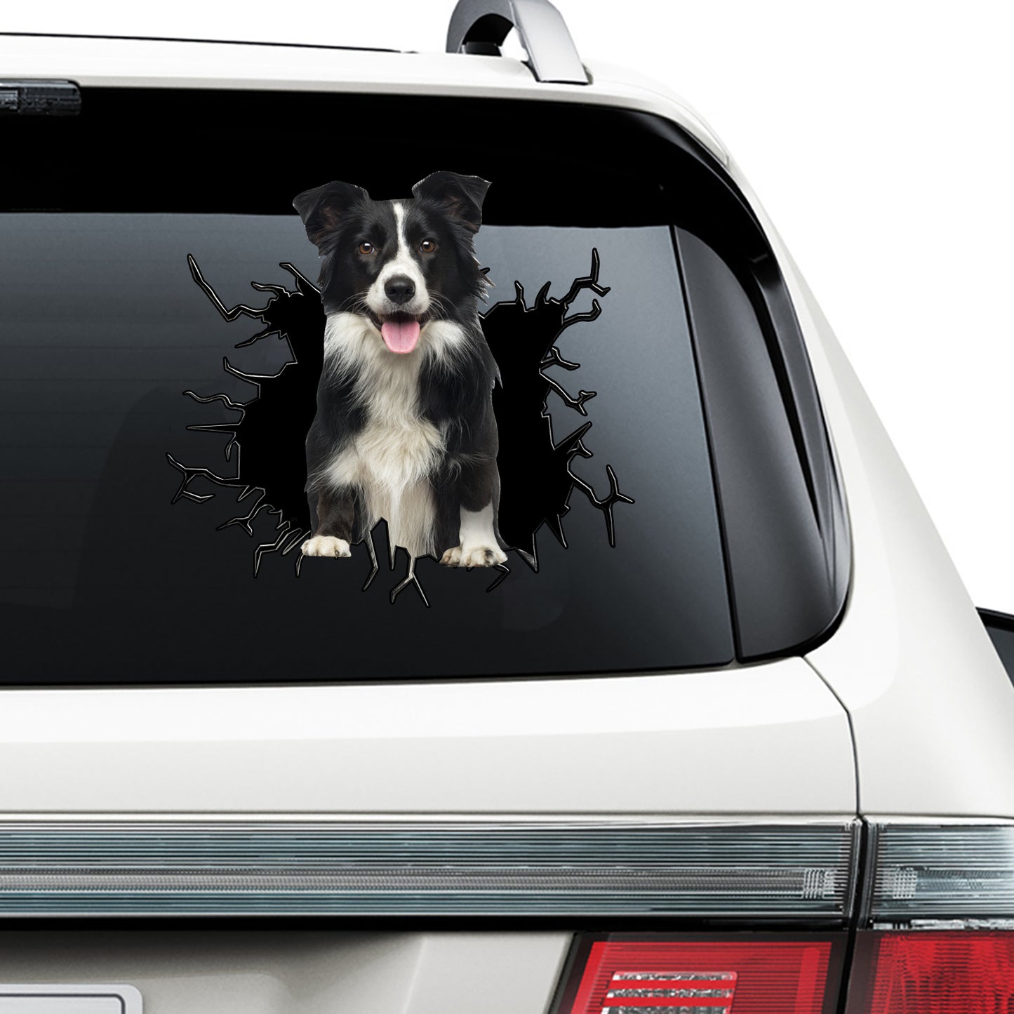 Petthouse | Border Collie Peeking Out Crack Decal Funny Window Car Sticker Dogs Animal Decor Car Truck
