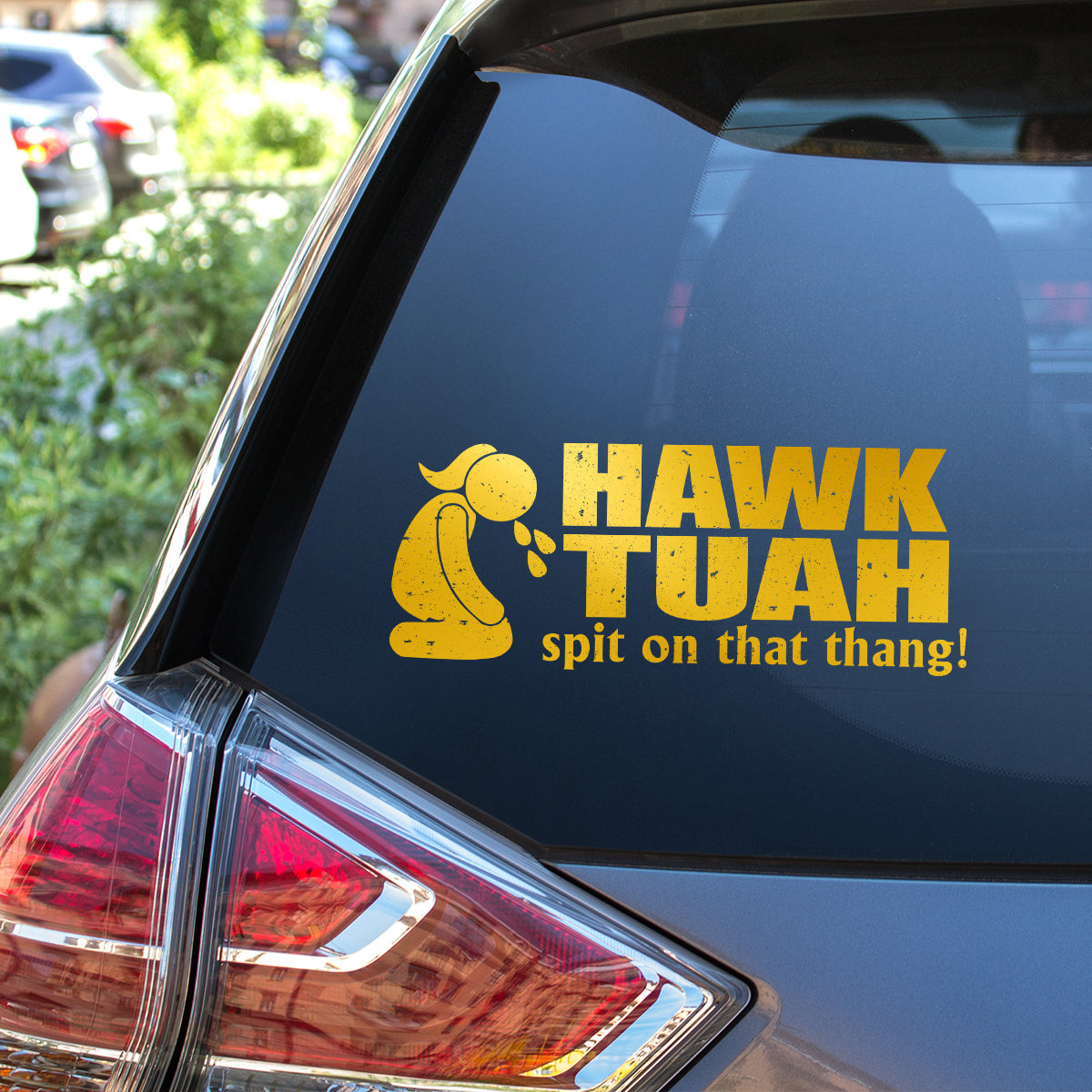 Petthouse | Hawk Tuah Spit On That Thang Decal, Hawk Tuah Decal Sticker, For Cars, Trucks, Laptops