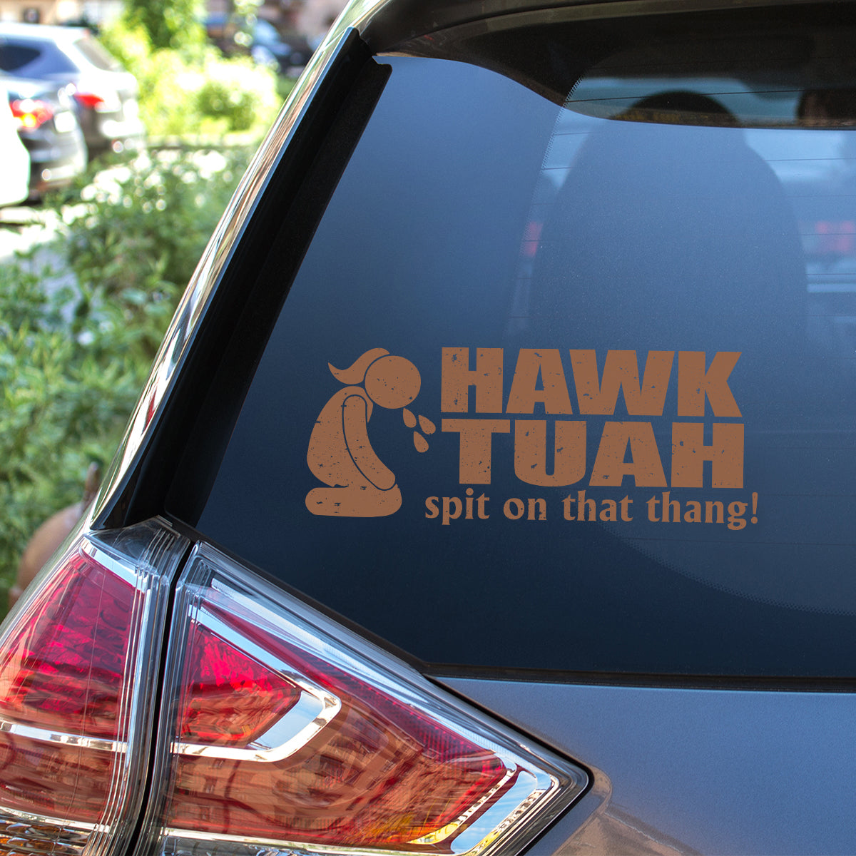 Petthouse | Hawk Tuah Spit On That Thang Decal, Hawk Tuah Decal Sticker, For Cars, Trucks, Laptops