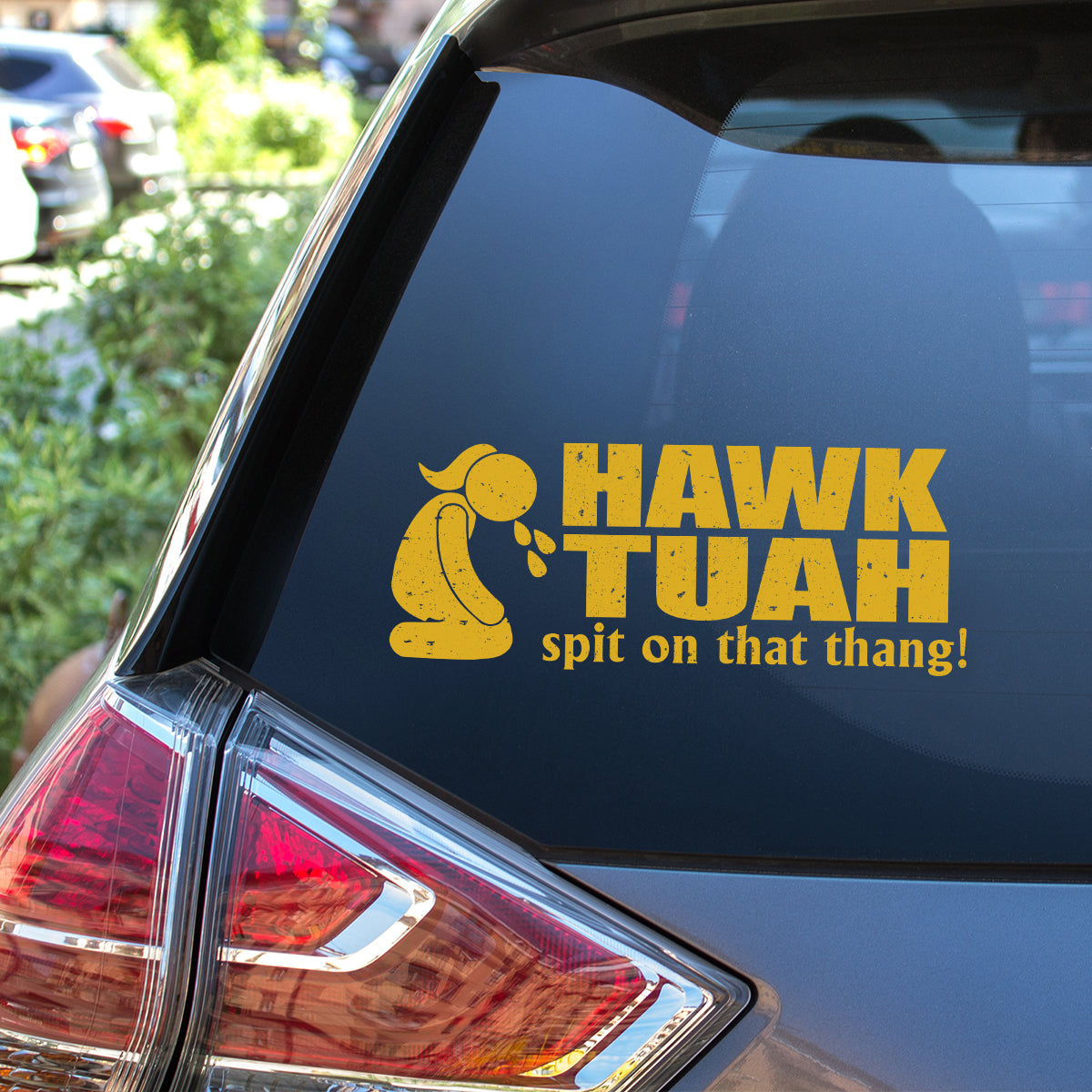 Petthouse | Hawk Tuah Spit On That Thang Decal, Hawk Tuah Decal Sticker, For Cars, Trucks, Laptops
