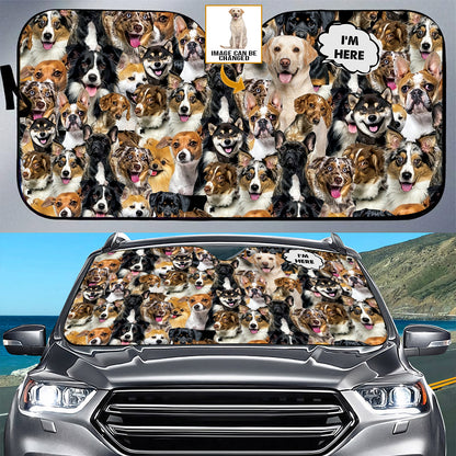 Petthouse | Customize Photo Sun Shade Labrador Retriever I’m Here Car Sunshade Dog Sunshade Car Sun Shade