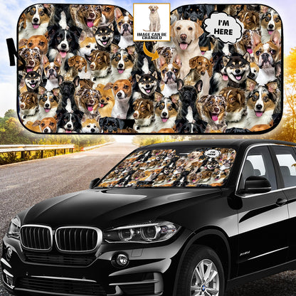 Petthouse | Customize Photo Sun Shade Labrador Retriever I’m Here Car Sunshade Dog Sunshade Car Sun Shade