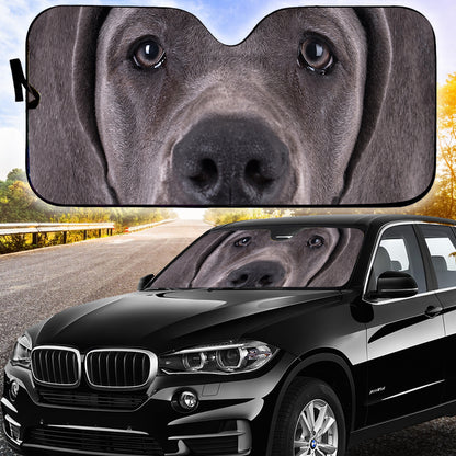 Petthouse | Great Dane Car Sunshade Dog Pet Windshield Sunshade Pet's Lovers Gift Great Dance Dog Lovers Gift