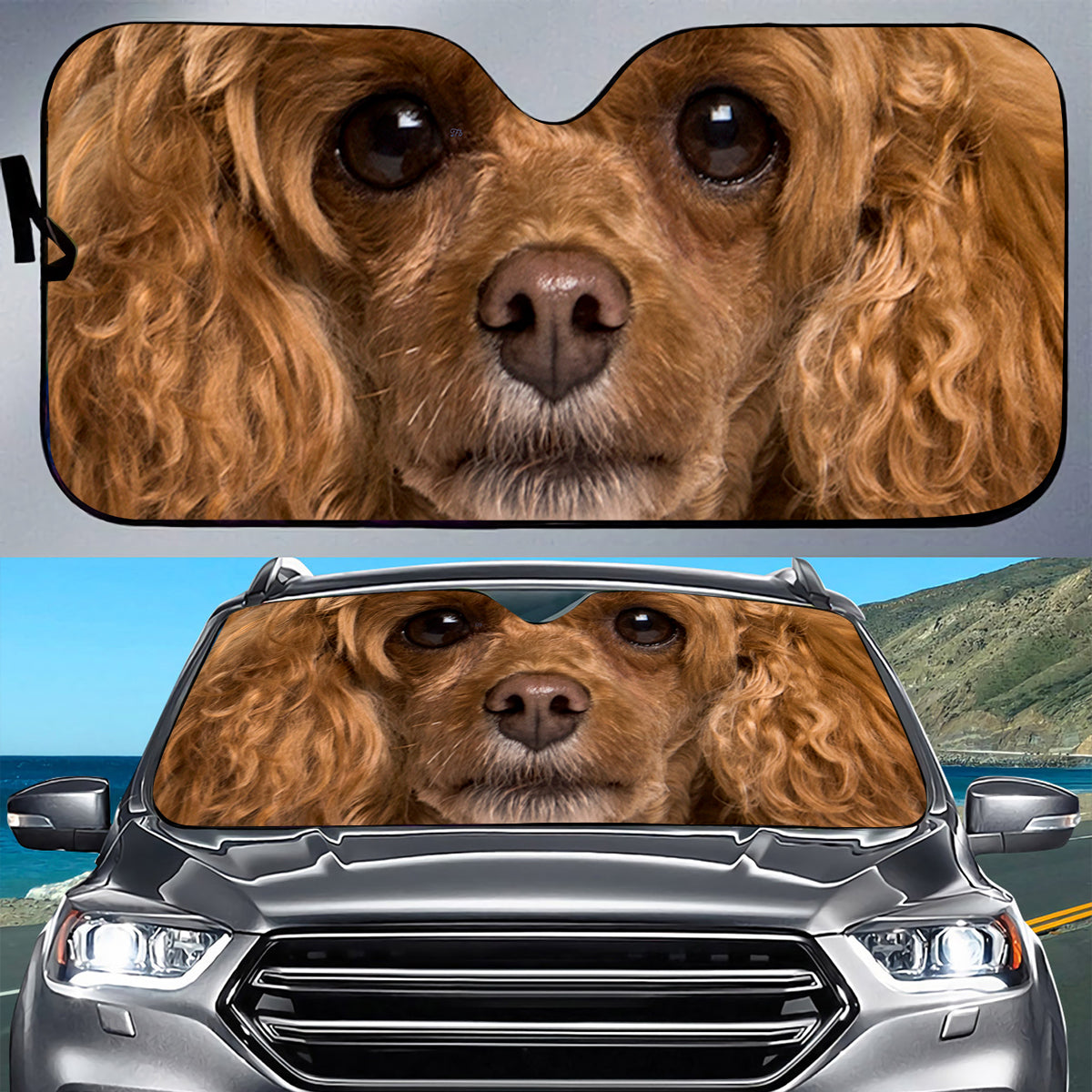 Petthouse | Poodle Dog Windshield Sunshade Dog Big Face Car Sunshade Dog Owners Gift Christmas Gift