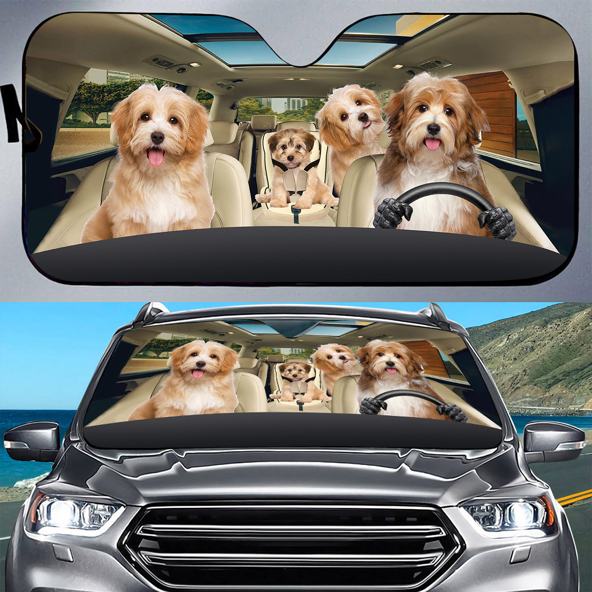 Petthouse | Havanese Dog Car Sunshade Dog Family Windshield Sun Shade Dog Lover Window Protect