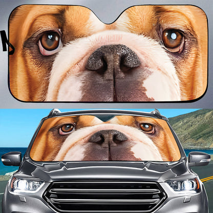 Petthouse | English Bulldog Dog Eyes Printed Windshield Sun Shade Puppies Funny Bulldog Interior Sun