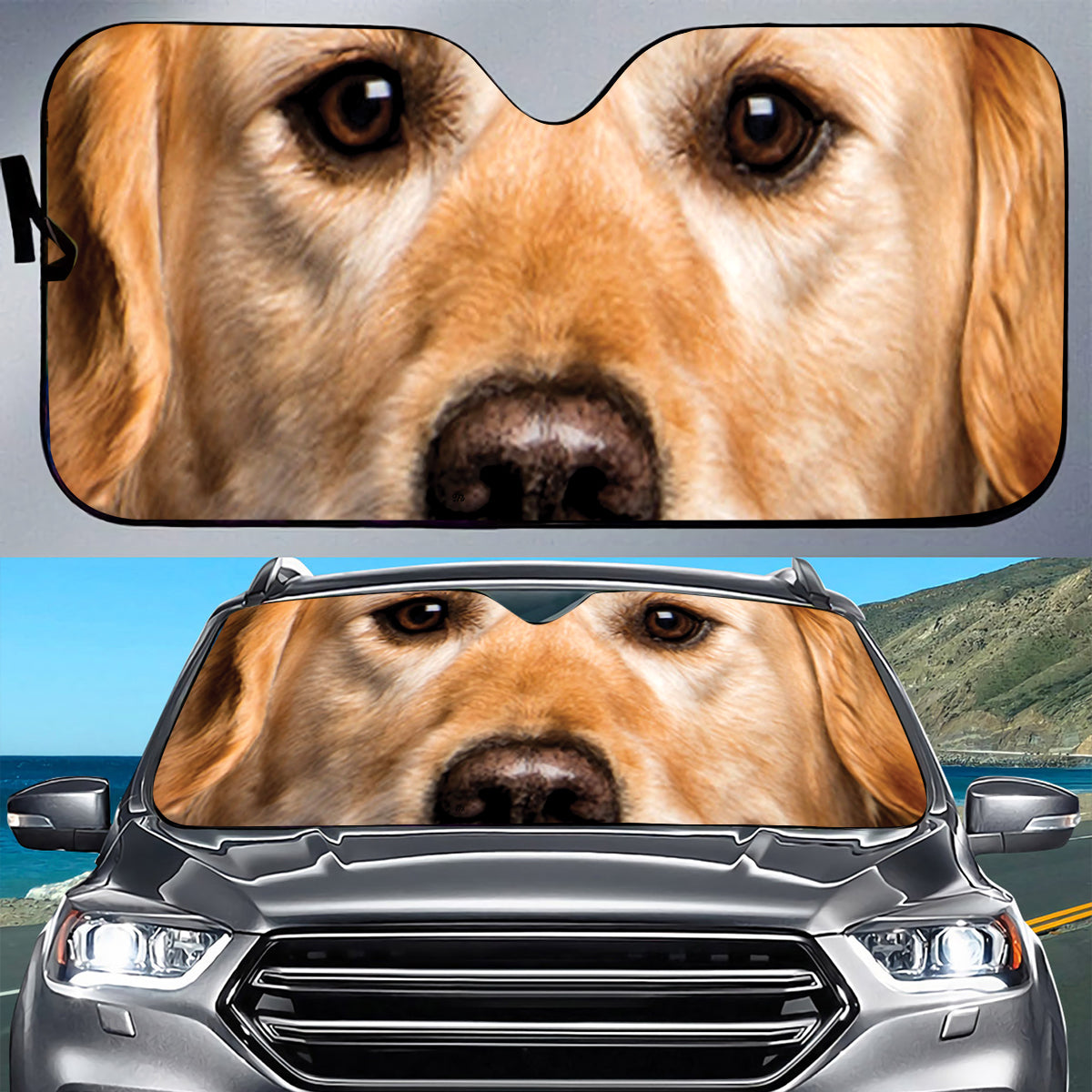 Petthouse | Golden Retriever Dog Face Printed Windshield Car Auto Sun Shade Golden Retriever Foldable