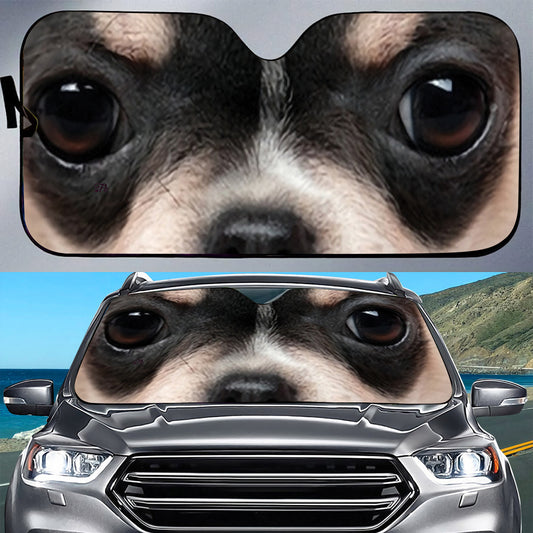 Petthouse | Black Chihuahua Windshield Sun Shade Dog Shooting Close Up Automotive Interior