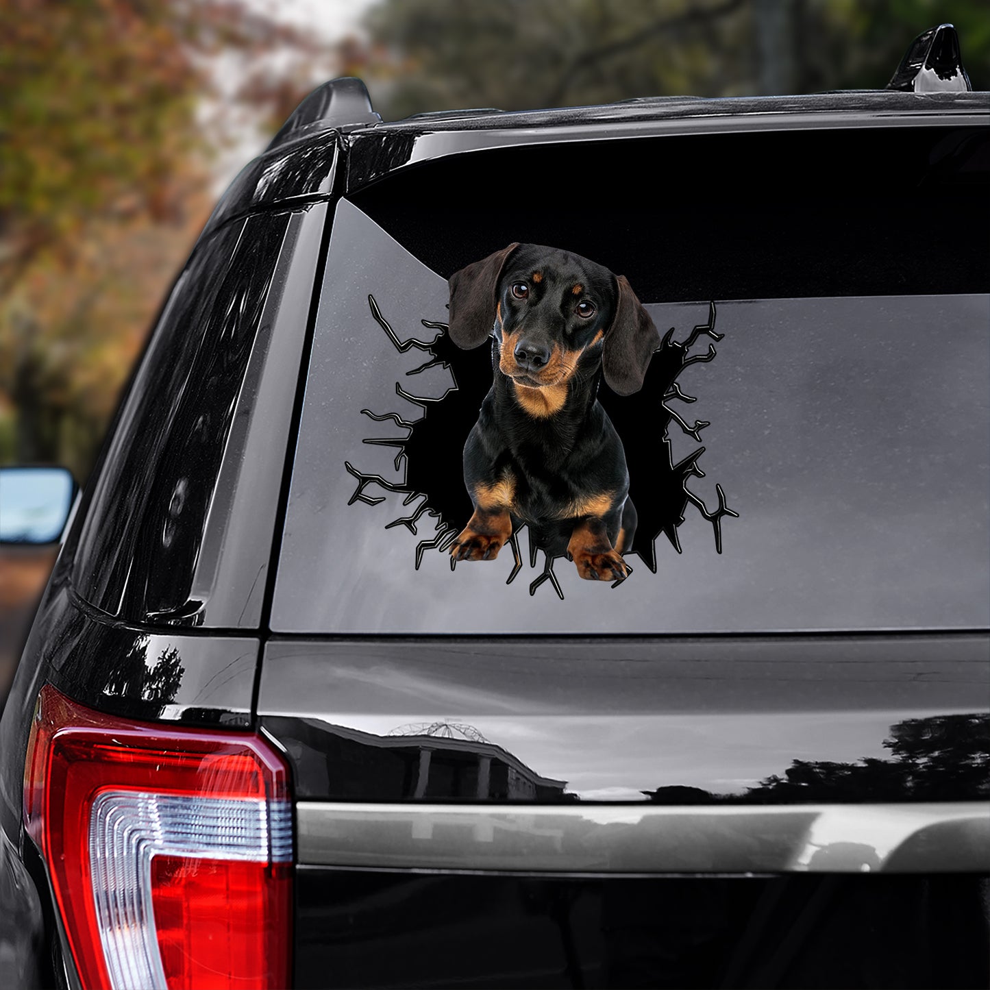 Petthouse | Black Dachshund Cracked Glass Decal Animal Dog Car Window Fun Car Decor For Dachshund Owners