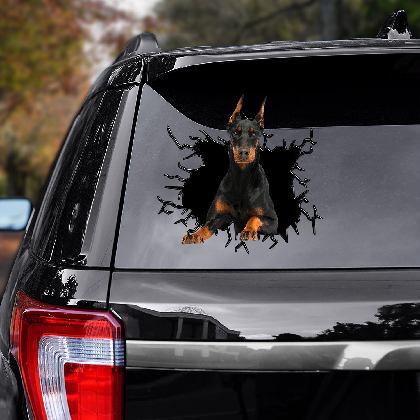 Petthouse | Doberman Pinscher Peek Out Crack Hole Car Sticker Dog Vinyl Decal Funny Car Window Decor