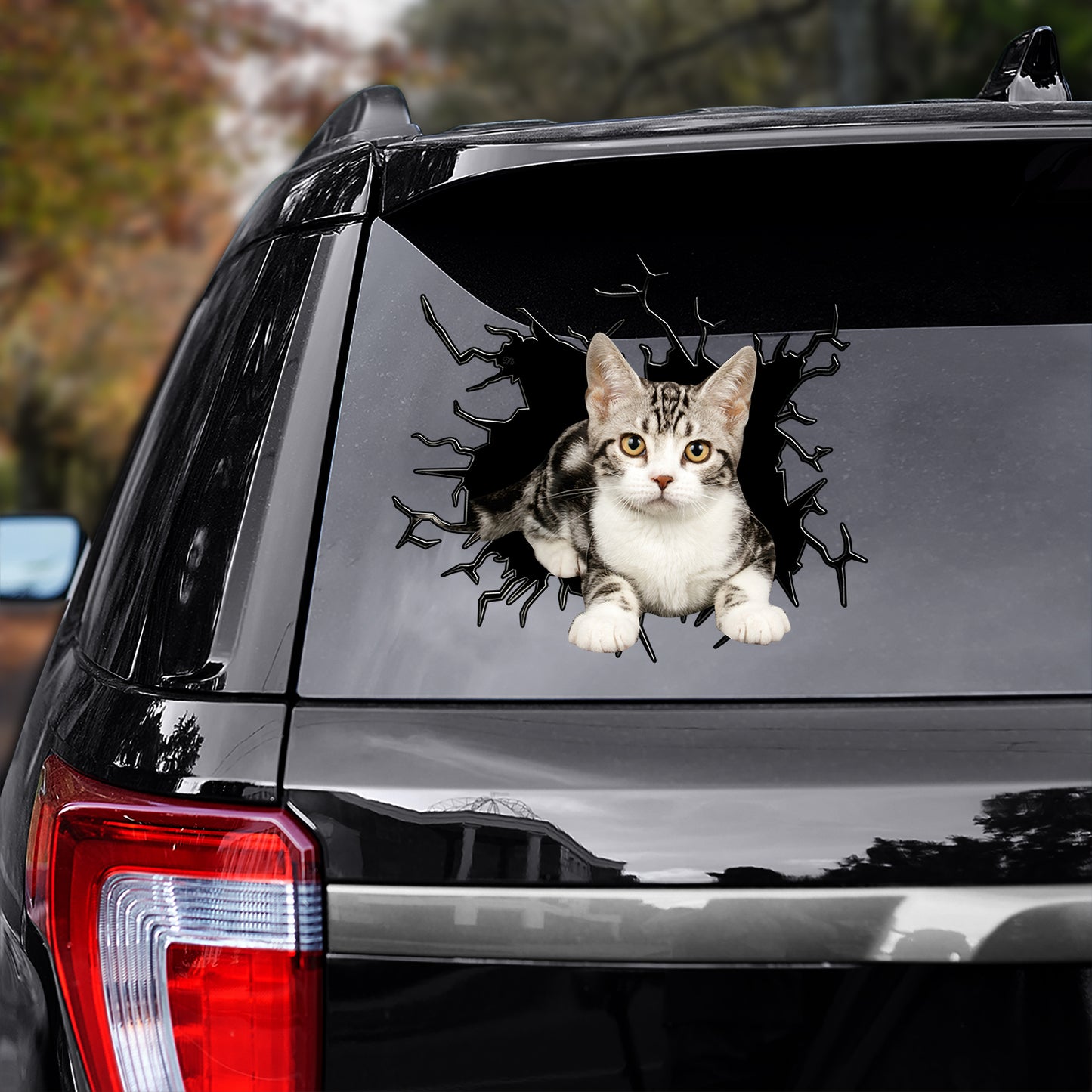 Petthouse | Abyssinian Cat Crack Sticker Car Window Cat Pet Paw Cute Stickers Kawaii Cat Mom Vinyl Decals