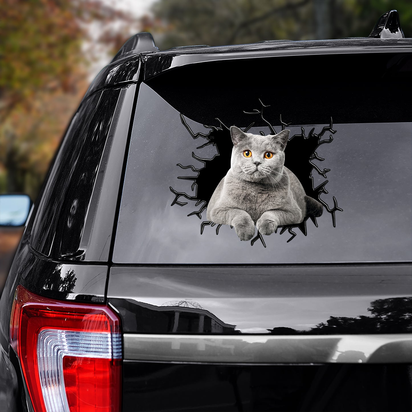 Petthouse | British Shorthair Cat Stickers For Teens Crack Decal For Car Window Cat Mom Dad Tailgate Mural