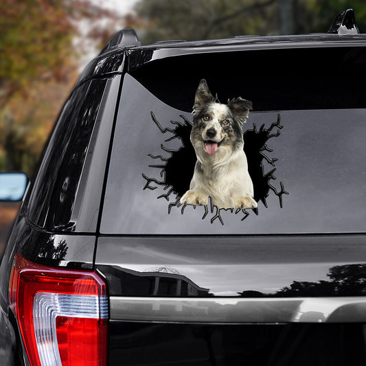 Petthouse | Blue Merle Border Collie Funny Face Stickers Border Collie Crack Hole Decal Printed Window Car