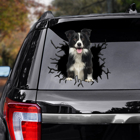 Petthouse | Border Collie Peeking Out Crack Decal Funny Window Car Sticker Dogs Animal Decor Car Truck