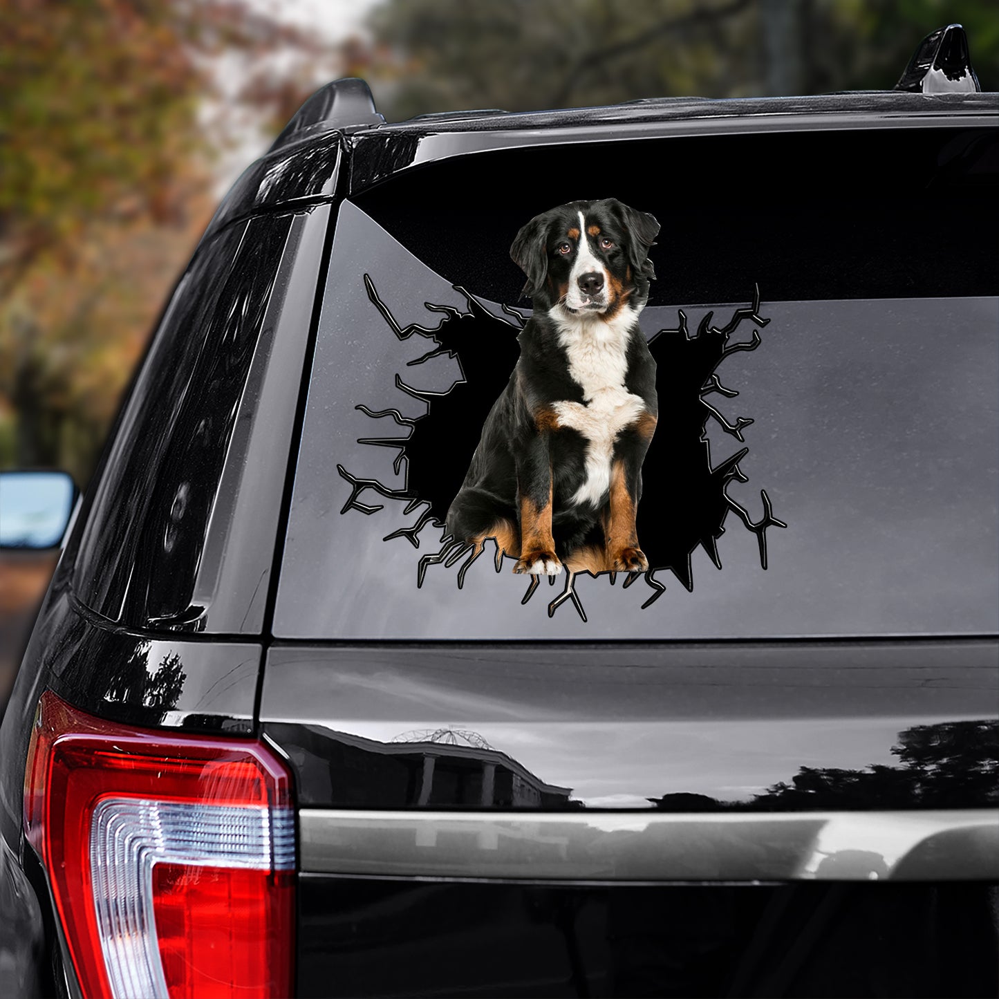 Petthouse | Bernese Mountain Crack Illusion Vinyl Sticker Dog Pet Paw Graphic Vinyl Decal For Dog Owners