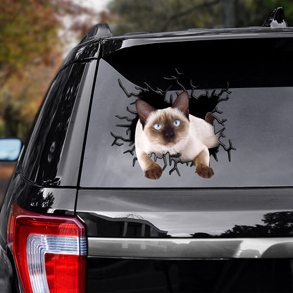 Petthouse | Siamese Cat Inside Hole Cool Stickers Crack Glasses Car Cracked Surface Meme Stickers