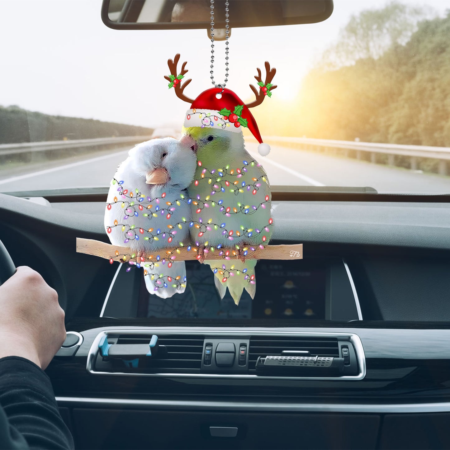 Petthouse | Couple Parrot Car Ornament Cute Parrot Couple Ornament Christmas Ornament Xmas Gift