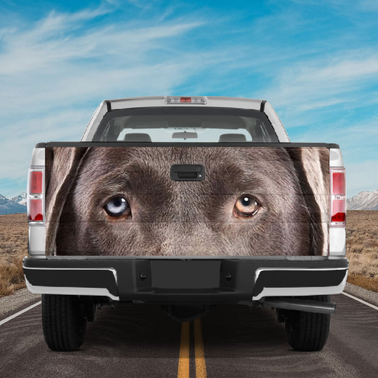 Petthouse | Labrador Retriever Dog Eyes Tailgate Wrap Vinyl Graphic Decal Sticker Tailgate Wrap For Trucks