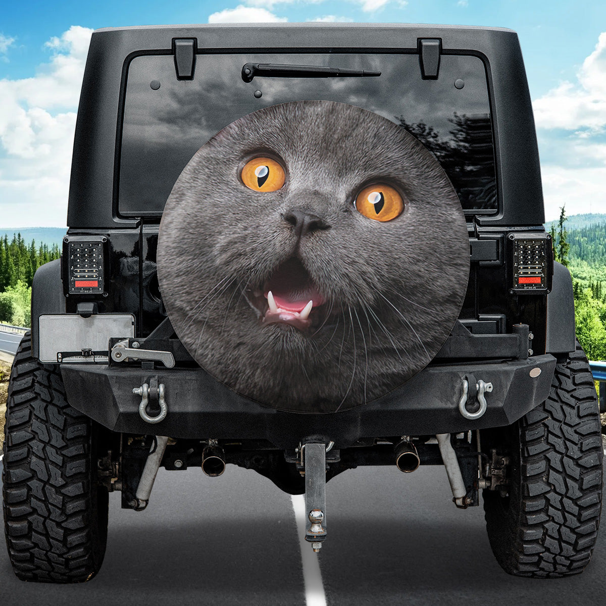 Petthouse | British Shorthair Cat Shocked Face Wheel Cover Car Accessories Cat Lover Gift Car Decoration