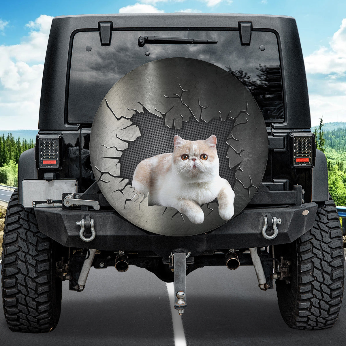 Petthouse | Exotic Shorthair Tire Protector Covers Cat Through Breaking Hole Truck Tire Cover For Cat Dad