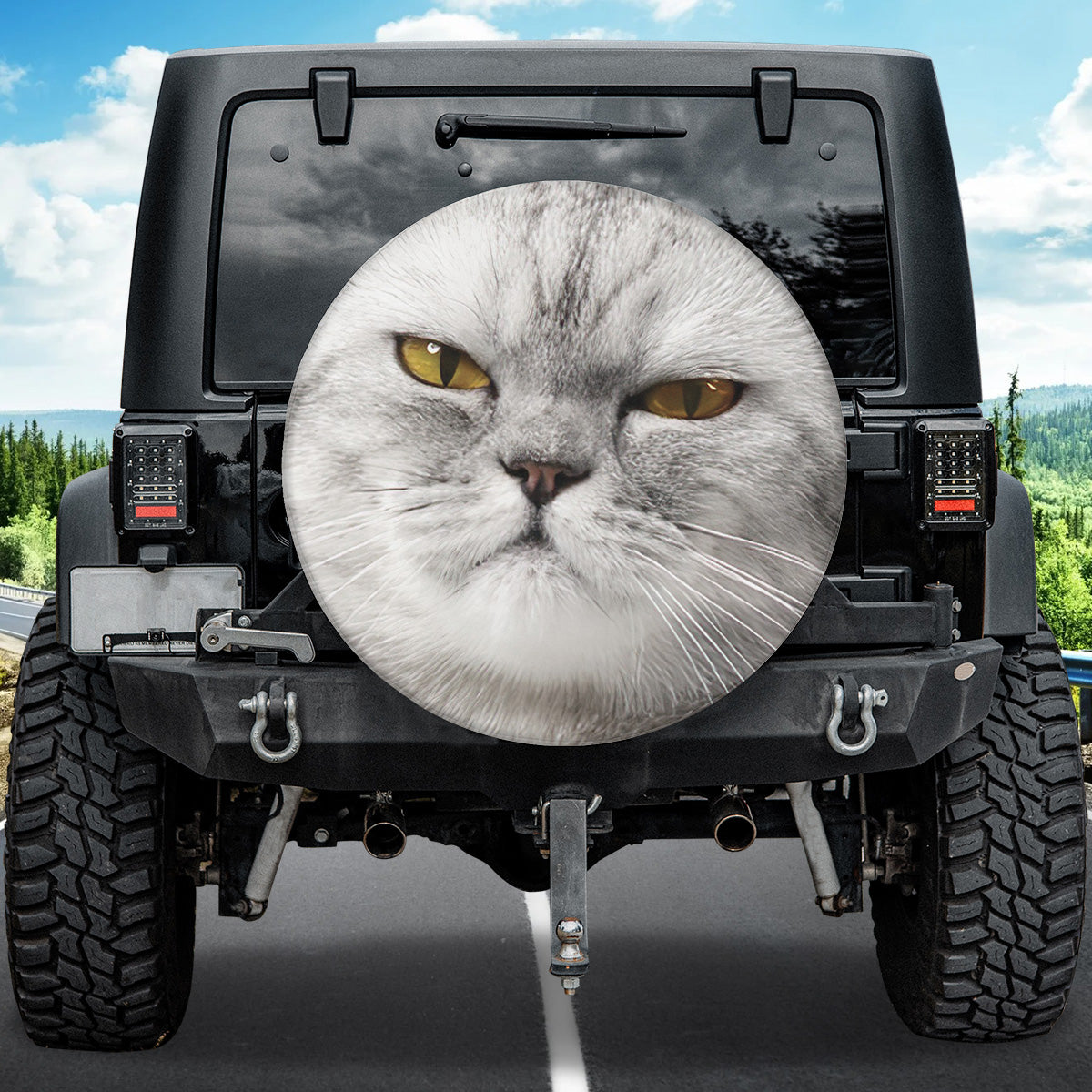 Petthouse | Angry British Cat Serious Face Wheel Cover For Car Cat Lover Gifts New Car Gift Decoration