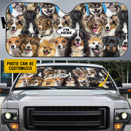 Petthouse | Customizabke Gift Car Sun Shade Windshield Dog Sunshade Bernese Mountain I’m Here