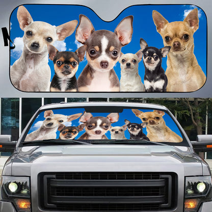 Petthouse | Chihuahua Car Sun Shade Windshield Cute Dog Car Accessories Car Decoration Pet's Lovers