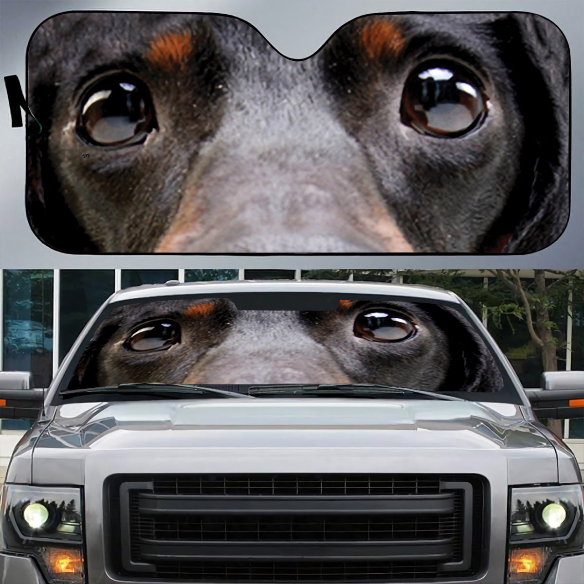 Petthouse | Dachshund Eyes Closeup Photo Dog Sunshade Wiener Funny Sun Visor For Car Windshield