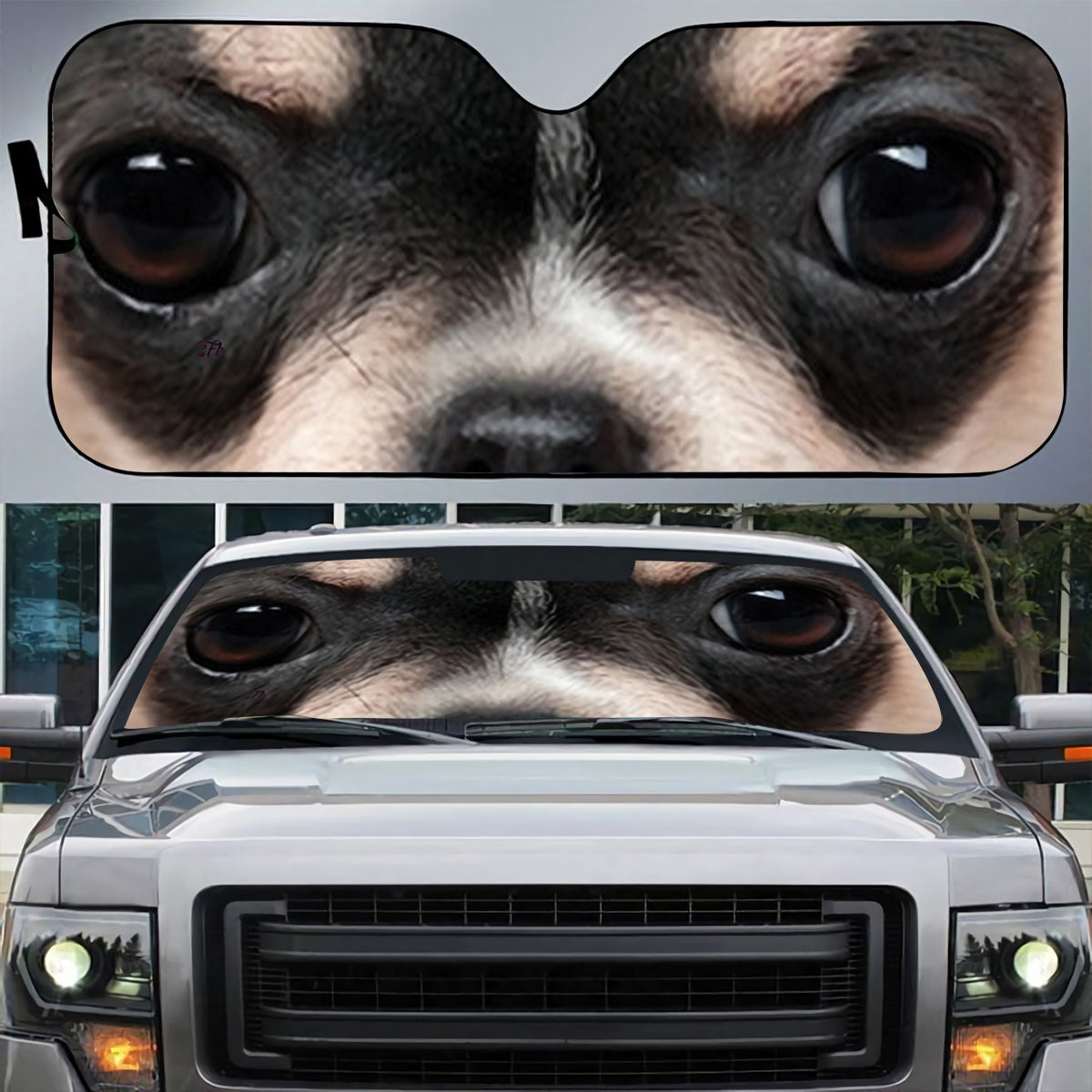 Petthouse | Black Chihuahua Windshield Sun Shade Dog Shooting Close Up Automotive Interior