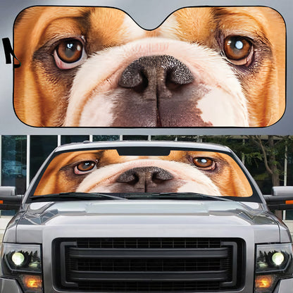 Petthouse | English Bulldog Dog Eyes Printed Windshield Sun Shade Puppies Funny Bulldog Interior Sun