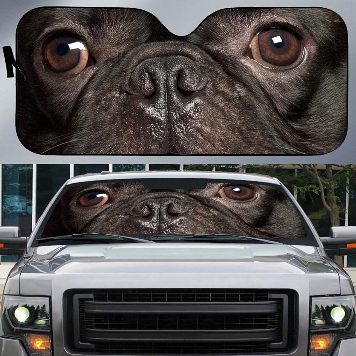 Petthouse | Black French Bulldog Close Up Shots Car Sun Shade Windshield Dog Face Truck Window Shades