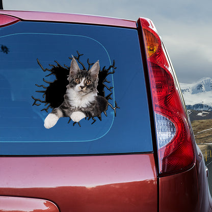 Petthouse | Maine Coon Cat Inside Hole Stickers For Teens Cat Lovers Crack Window Broken Wall Fun Car Decor