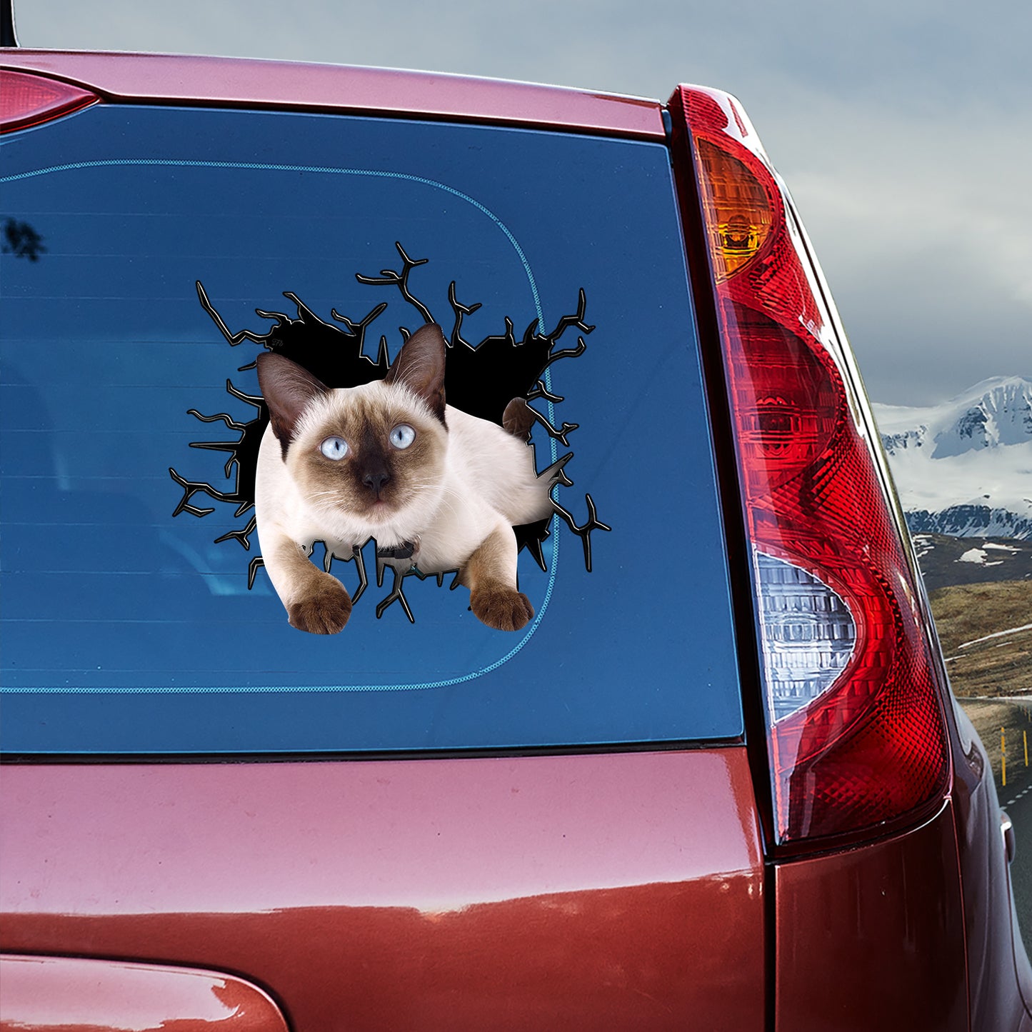 Petthouse | Siamese Cat Inside Hole Cool Stickers Crack Glasses Car Cracked Surface Meme Stickers