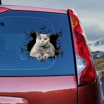 Petthouse | British Shorthair Cat Stickers For Teens Crack Decal For Car Window Cat Mom Dad Tailgate Mural