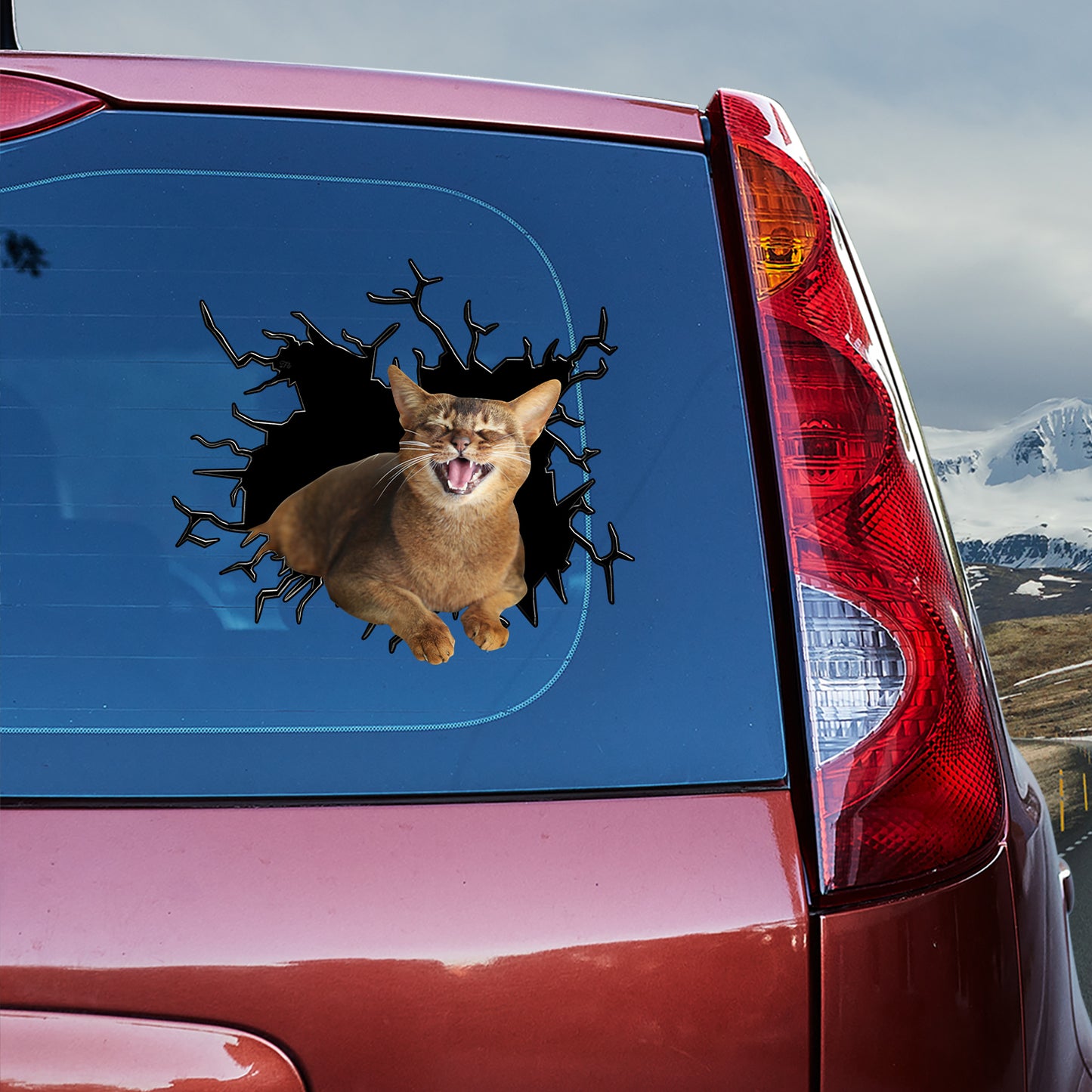Petthouse | Abyssinian Cat Happy Face Water Bottle Stickers For Kids Cracked Car Sticker For Cat Lovers