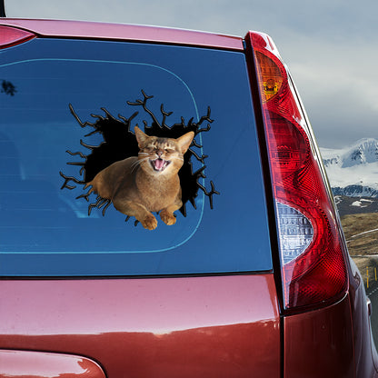 Petthouse | Abyssinian Cat Happy Face Water Bottle Stickers For Kids Cracked Car Sticker For Cat Lovers