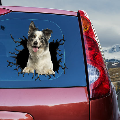 Petthouse | Blue Merle Border Collie Funny Face Stickers Border Collie Crack Hole Decal Printed Window Car