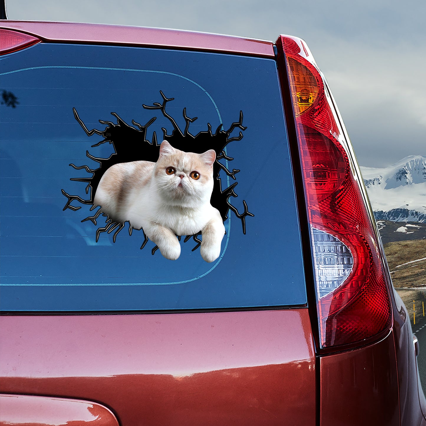 Petthouse | Exotic Shorthair Crawl Out Kawaii Stickers Crack Broken 3d Hole Glass Vinyl Stickers Die Cut