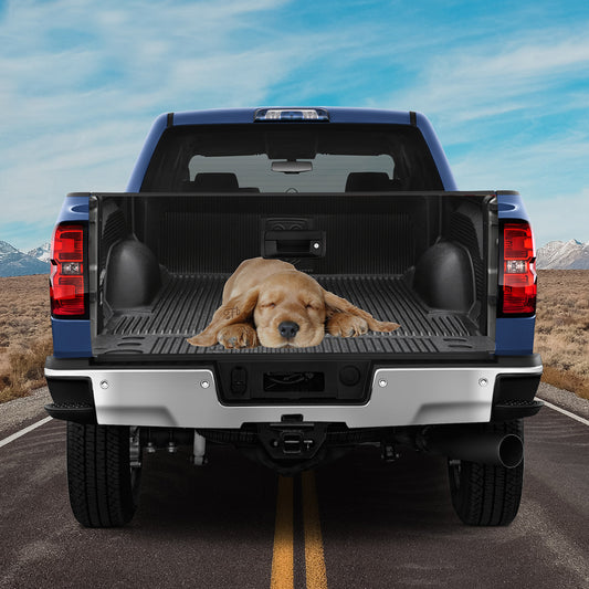 Petthouse | Cute Golden Retriever Sleeping Inside Truck Tailgate Wrap Golden Retriever Puppy Dog Lover