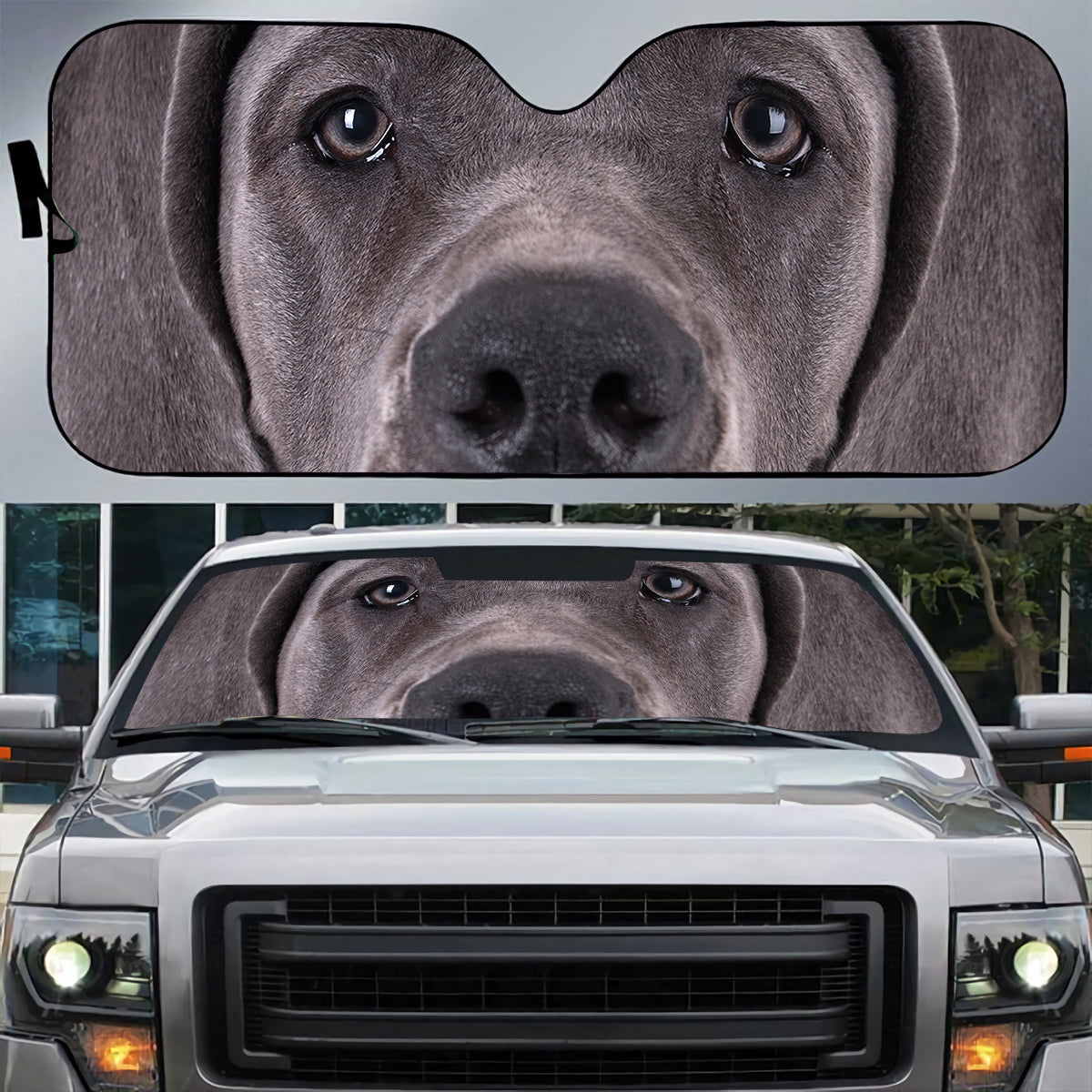 Petthouse | Great Dane Car Sunshade Dog Pet Windshield Sunshade Pet's Lovers Gift Great Dance Dog Lovers Gift